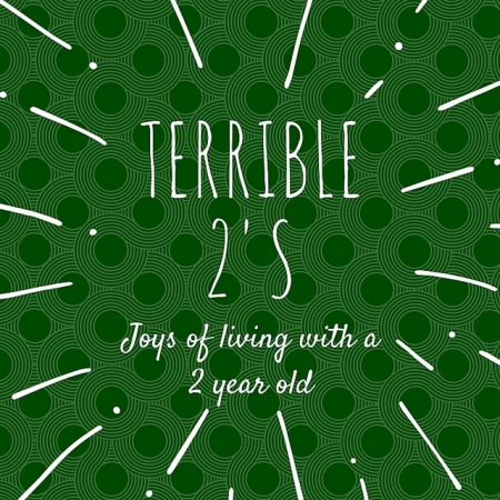 Terrible 2's - my take on the joys of living with a growing up 2 year old kid.
