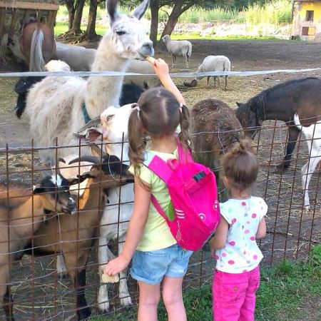 Apolenka - a mini zoo for kids and a horse rehabilitation nearby Pardubice, CZ